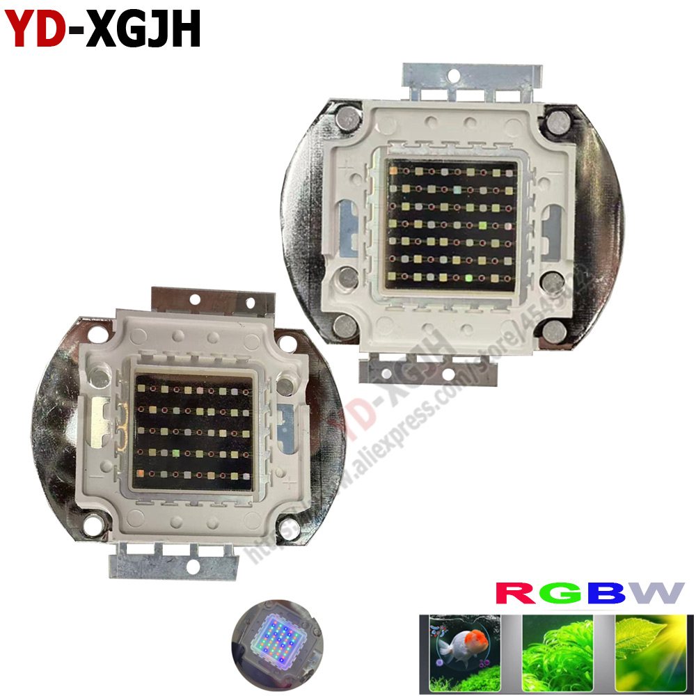 Aquarium Marine Ums - 50W Ma Yin Aquariumverlichting Bron Visbak