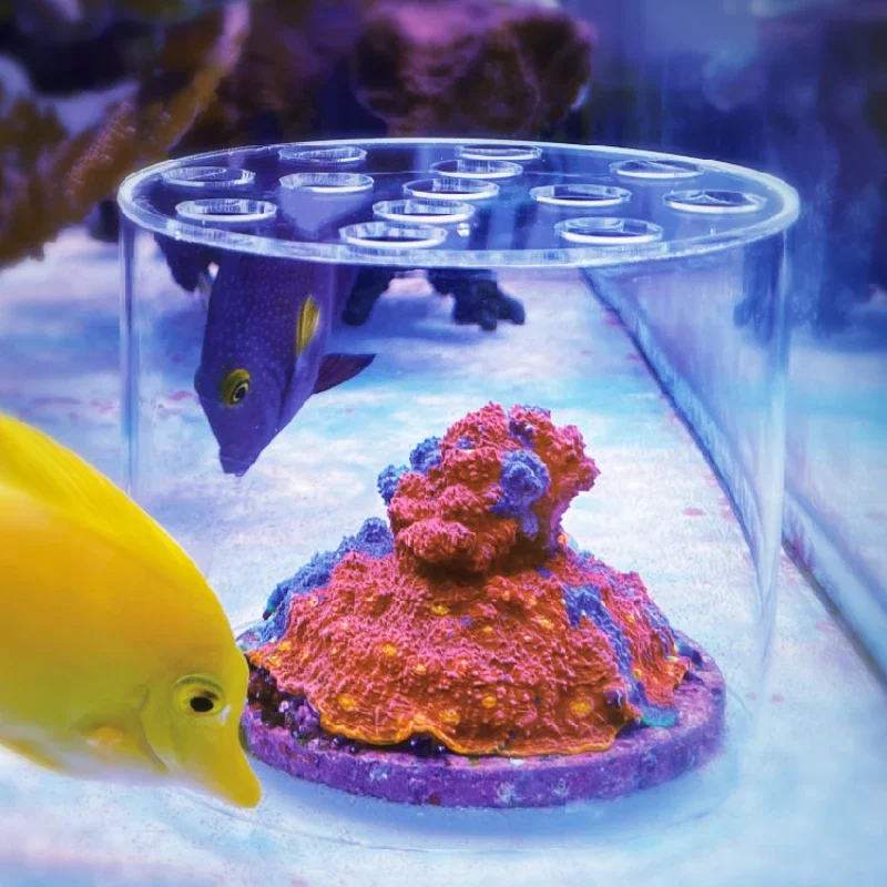 Marine Aquarium Glue - Vastocean Aquarium Acryl Koraal Feeder Kap
