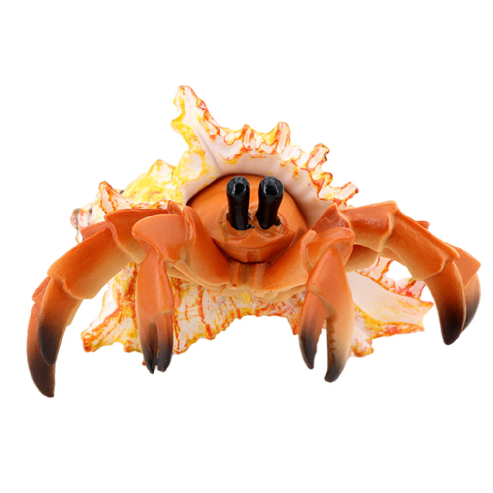 Marine Aquarium Europe - Simulatie van een heremietkreeft Pagurian, kunstmatige