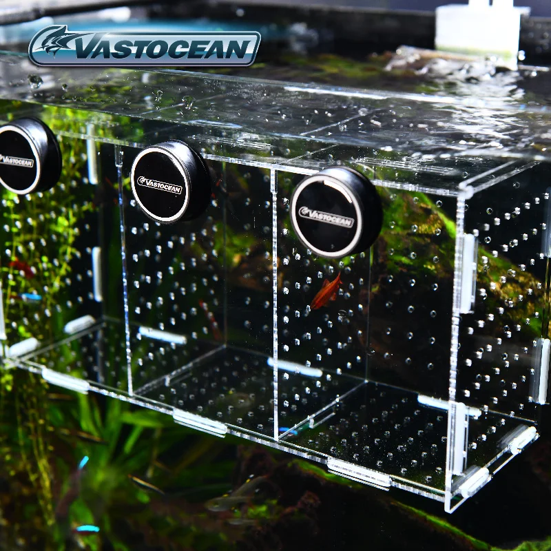 VASTOCEAN Aquarium Magnetische - Marine Aquarium Glue recensie en prijs
