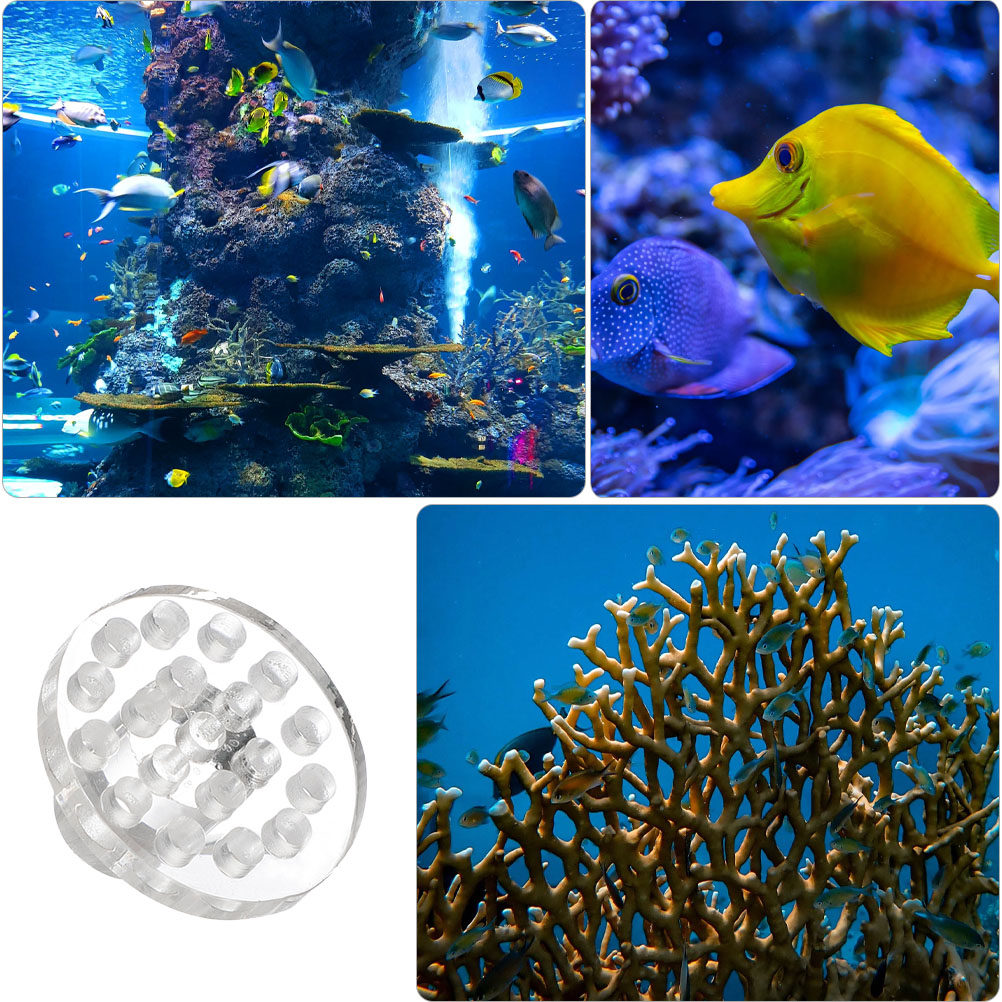 10 stuks acryl koraal frag rac - Marine Aquarium Glue recensie en prijs