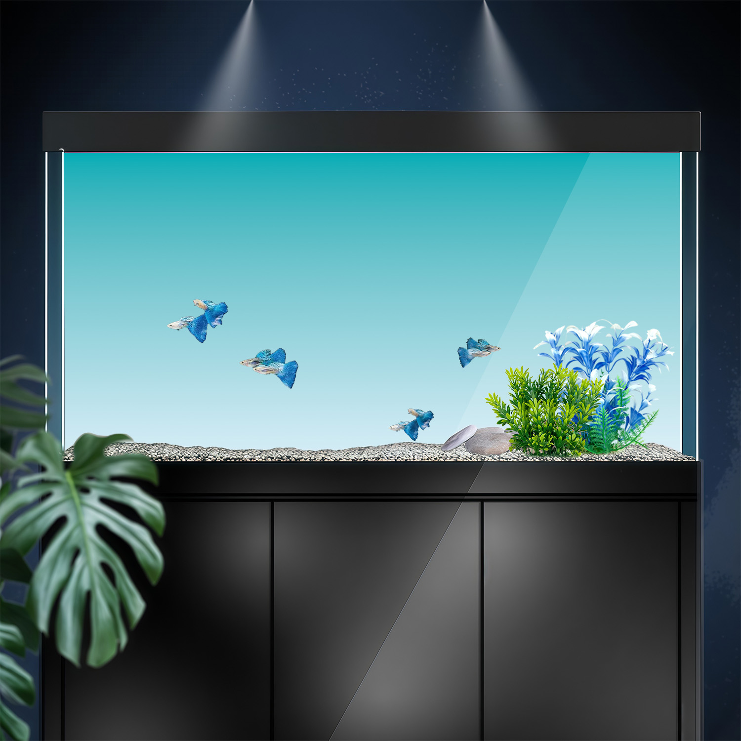 Blauw-witte gradiënt, achtergr - Marine Aquarium Glue recensie en prijs