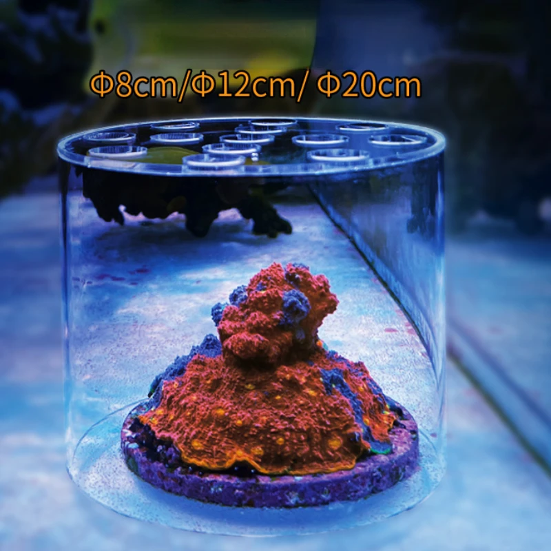 Vastocean Aquarium Acryl Koraa - Marine Aquarium Glue recensie en prijs